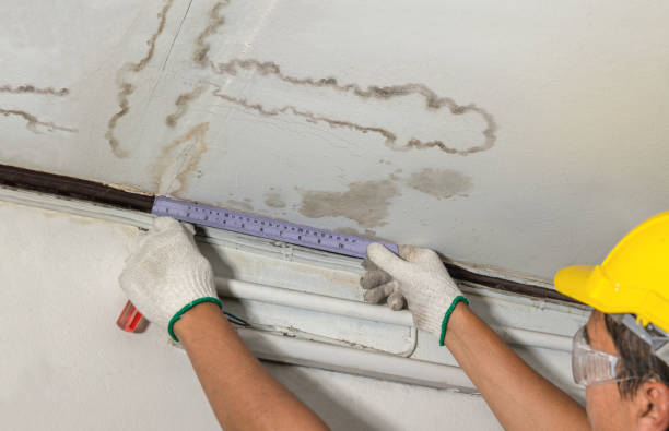 Reliable Water Damage Restoration contractor in Gladstone, OR by Water Damage Irwin